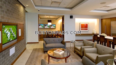 Downtown Apartment for rent 1 Bedroom 1 Bath Boston - $4,252
