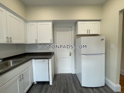 Brighton Apartment for rent 1 Bedroom 1 Bath Boston - $2,725 No Fee