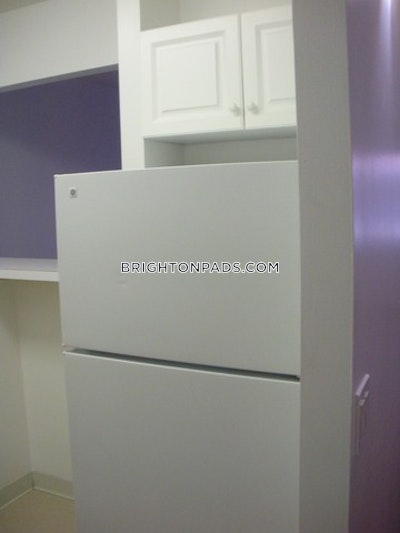 Brighton 1 Bed 1 Bath Boston - $2,325