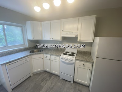 Brighton 2 Beds 1 Bath Boston - $2,950 No Fee