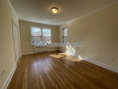 Brighton 1 Bed 1 Bath BOSTON Boston - $3,025 No Fee