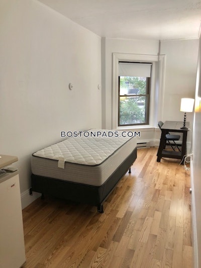 Brookline Studio 1 Bath  Longwood Area - $1,995