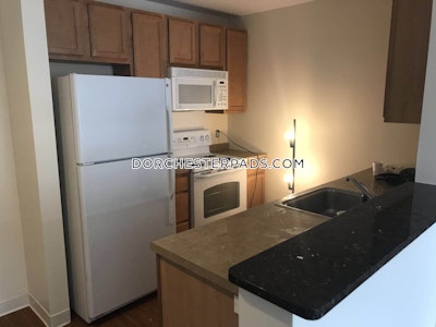 Dorchester Apartment for rent 2 Bedrooms 2 Baths Boston - $6,396 No Fee