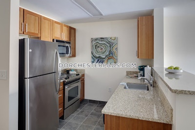 Dorchester Apartment for rent Studio 1 Bath Boston - $6,189 No Fee