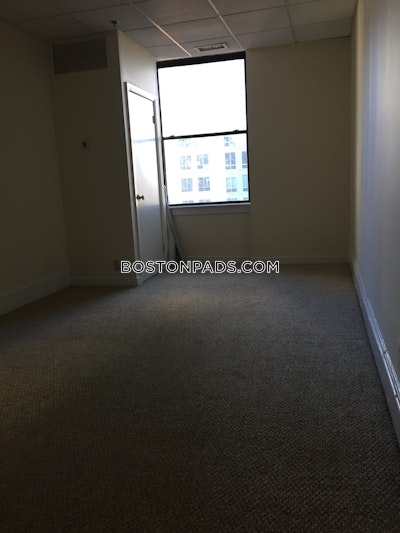 Chinatown 1 Bed 1 Bath Boston - $3,800