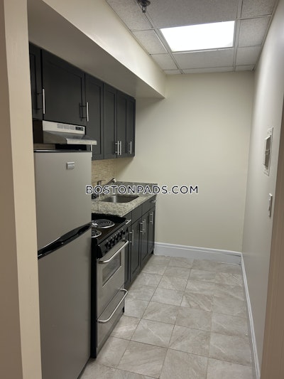 Chinatown Apartment for rent 1 Bedroom 1 Bath Boston - $3,150