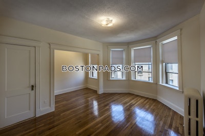 Allston Apartment for rent 1 Bedroom 1 Bath Boston - $2,800