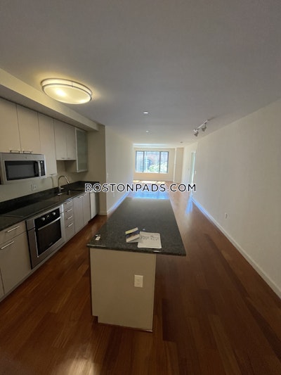 West End Apartment for rent 1 Bedroom 1 Bath Boston - $3,805