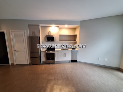 Jamaica Plain Studio  baths Luxury in BOSTON Boston - $2,975