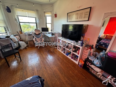 Roxbury Apartment for rent 4 Bedrooms 2 Baths Boston - $4,800