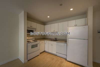 Downtown Apartment for rent 1 Bedroom 1 Bath Boston - $3,000