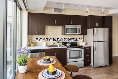 Downtown Studio  Luxury in BOSTON Boston - $3,375