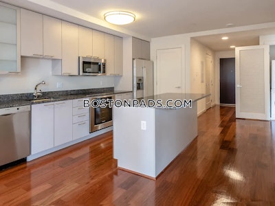 West End Apartment for rent Studio 1 Bath Boston - $2,770