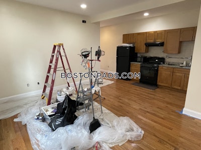 Roxbury Apartment for rent 3 Bedrooms 1 Bath Boston - $3,100