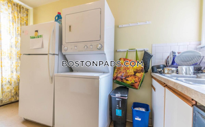 Mission Hill Apartment for rent 3 Bedrooms 1 Bath Boston - $3,400