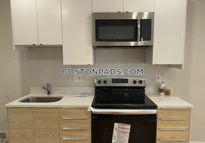 Northeastern/symphony Apartment for rent 4 Bedrooms 1 Bath Boston - $6,400